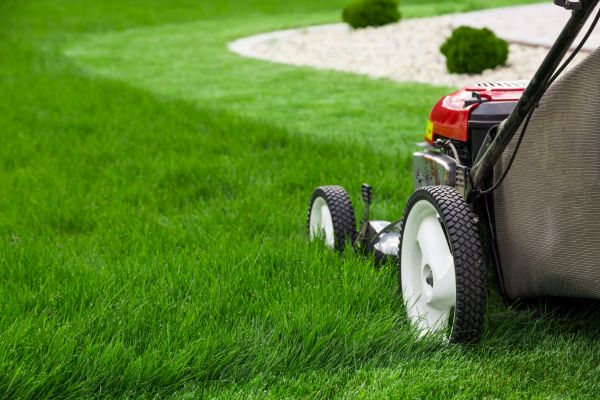 Grow your Monthly Yard Maintenance business
