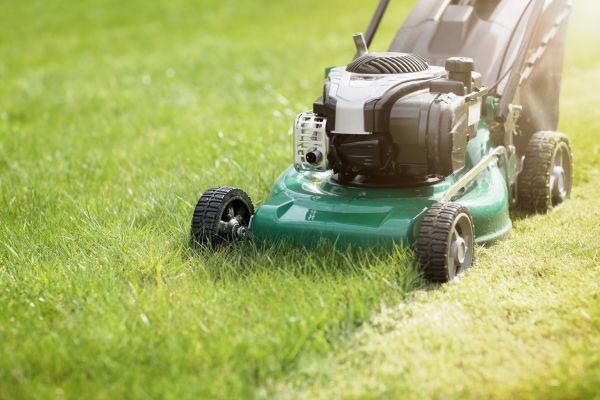 Recurring Mowing Service