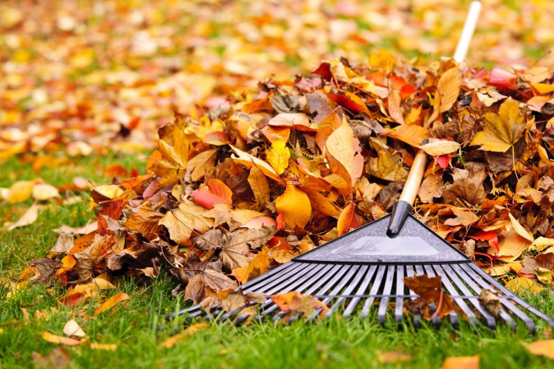 Fall Leaf Cleanup Tools