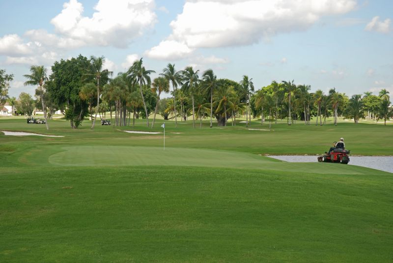 Monthly Yard Maintenance