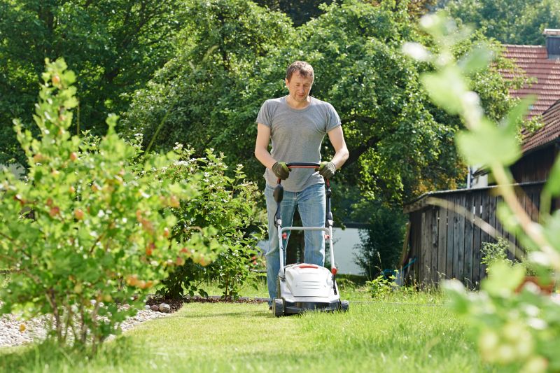 The Difference Professional Lawn Mowing Makes